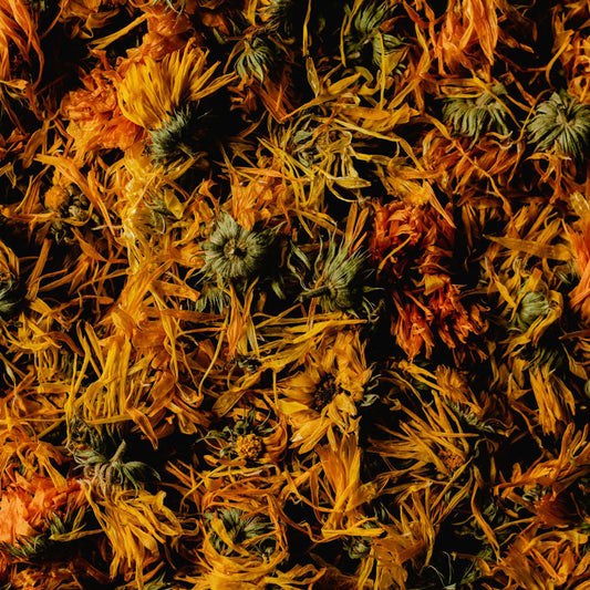 Dried calendula leaves and flowers